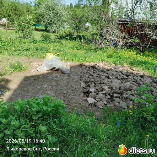6 фото: Дача 2026