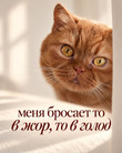 ���� ��� 22.10.2026
