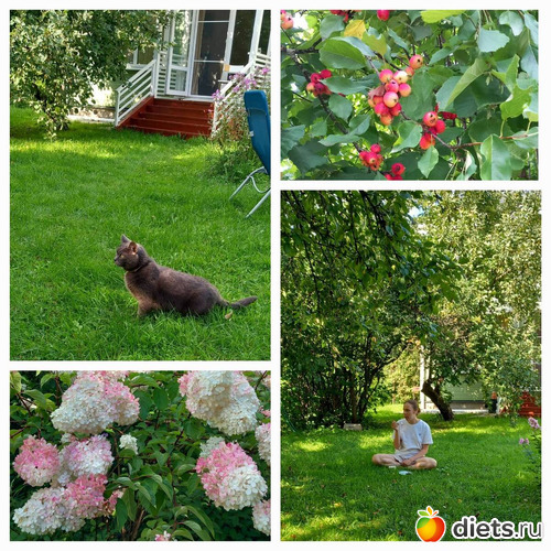6 фото: из жизни дачников