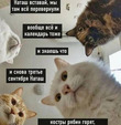 ����������� 3 ��������