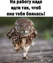 ����� ��������