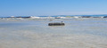 до свидания, море