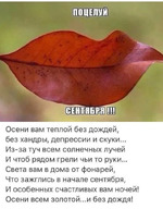Золотая осень