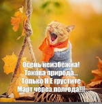 Осень на пороге, уж стучит в окно